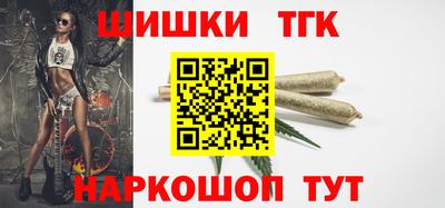 тгк Партизанск