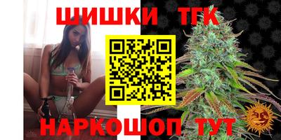 тгк Партизанск